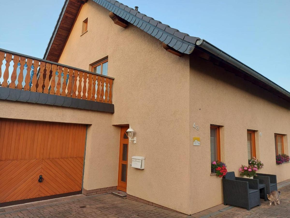 Eifelferienhaus Pruem Steinmehlen Kültér fotó