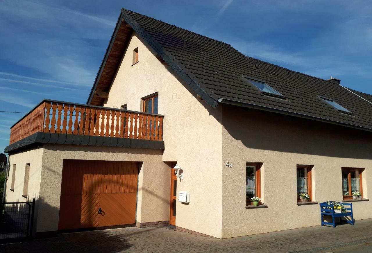 Eifelferienhaus Pruem Steinmehlen Kültér fotó